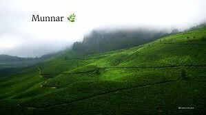 Madurai To Munnar tour package